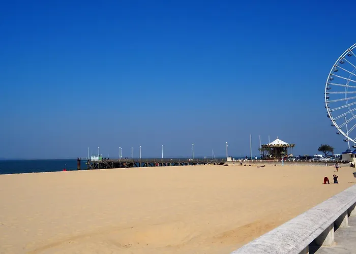 Cosy Hyper Centre D'arcachon, Proche Et Commerces - Fr-1-474-262 Daire Arcachon